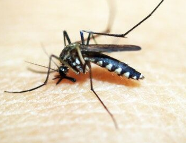 選擇殺蟲(chóng)燈時(shí)應(yīng)注意什么？