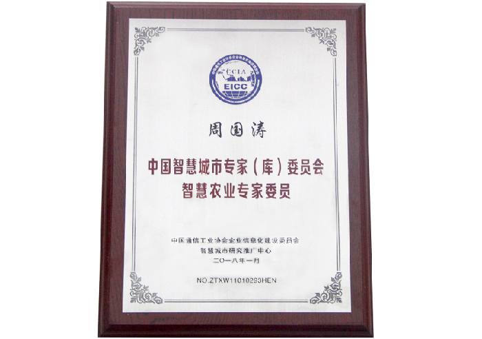 中國智慧城市專家（庫）委員會證書